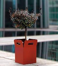 Box Pflanzk�bel H:55cm