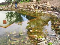 Teichabdichtung aus PVC - Aquagard�