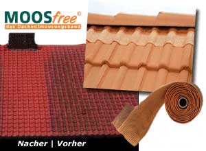 Bild2: MOOSfree® Dachentmoosungsband