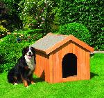 Holz Hundehtten