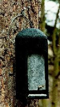 Fledermaushhle 2FN