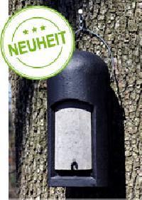 Fledermaushhle 3FN