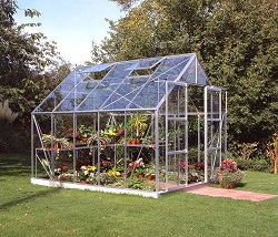 Gewchshaus Magnum mit 8.3 m [Halls]