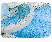 AQUAMIR Spiegel fr Schwimmbder