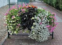 Blumeneinrichtung an Stadtgelndern